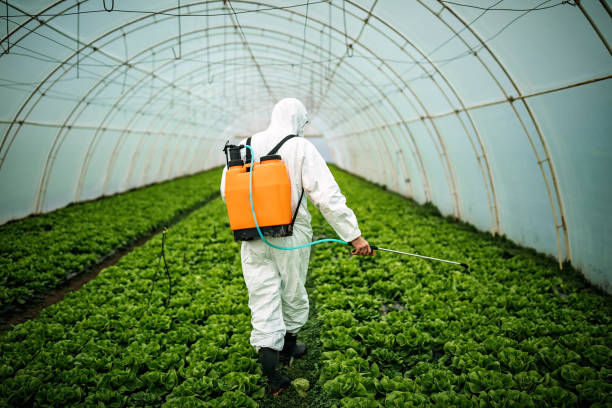 Best Residential Pest Control  in Noel, MO